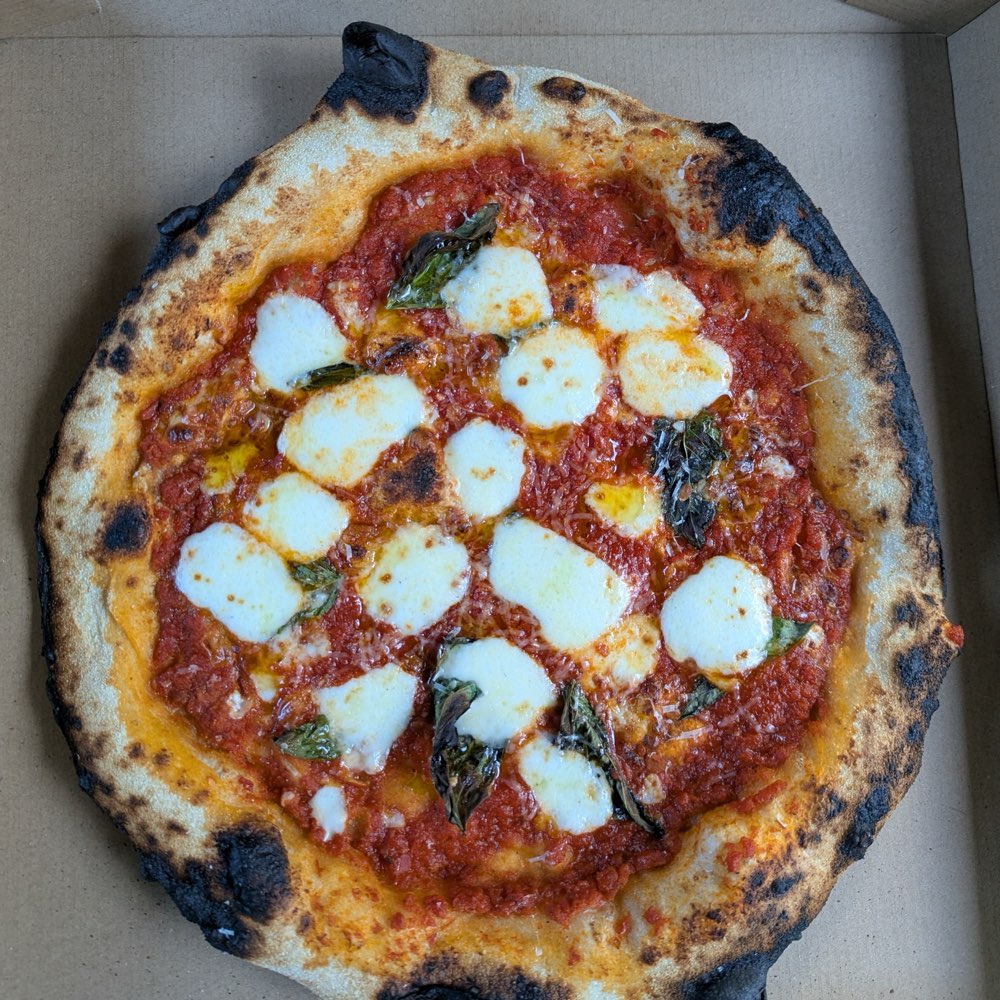 A Margherita in its box, rounds of fresh mozzarella and basil on red sauce, the rim dark and blistered.